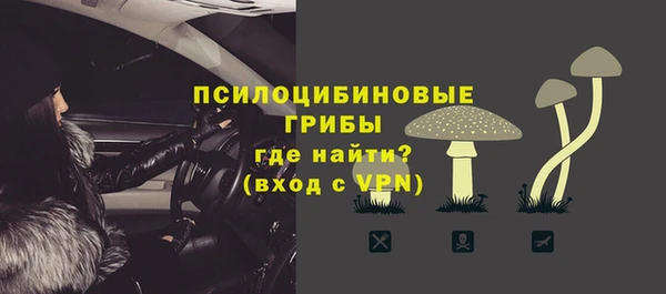 прущие крисы Козельск