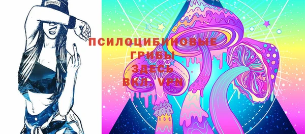 прущие крисы Козельск
