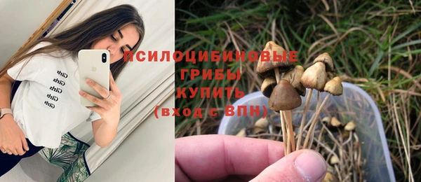 mix Арсеньев