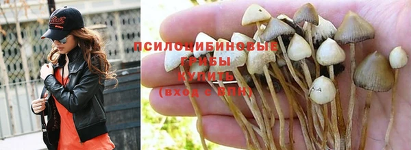 прущие крисы Козельск