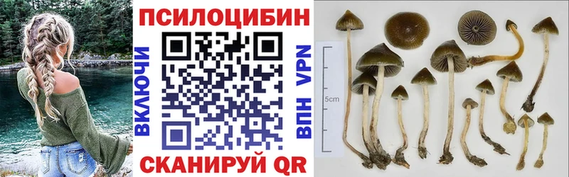 Галлюциногенные грибы MAGIC MUSHROOMS  Свирск 